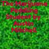 The Marjuana Peddling Student